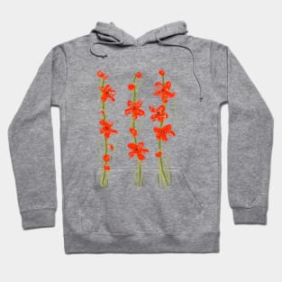 Oil flowers Hoodie